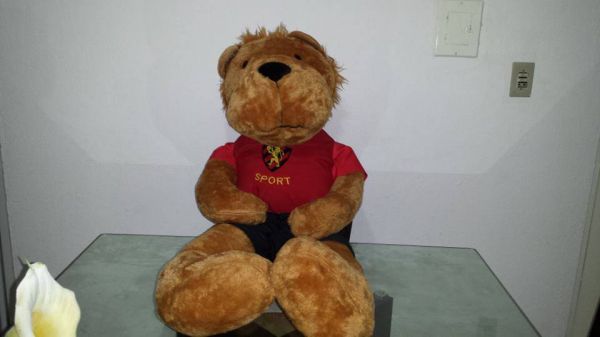 Leão do Sport